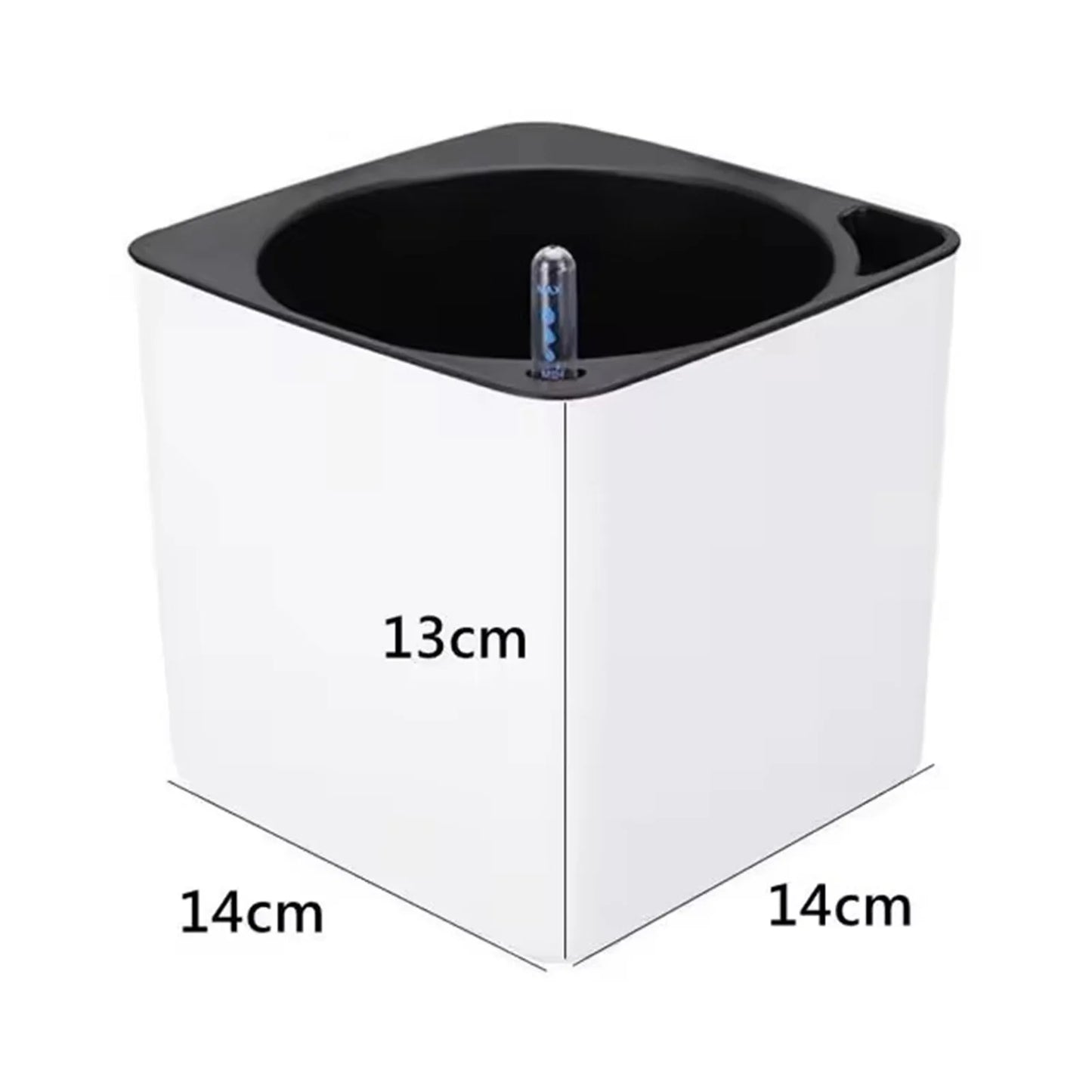 Self-Watering Pot