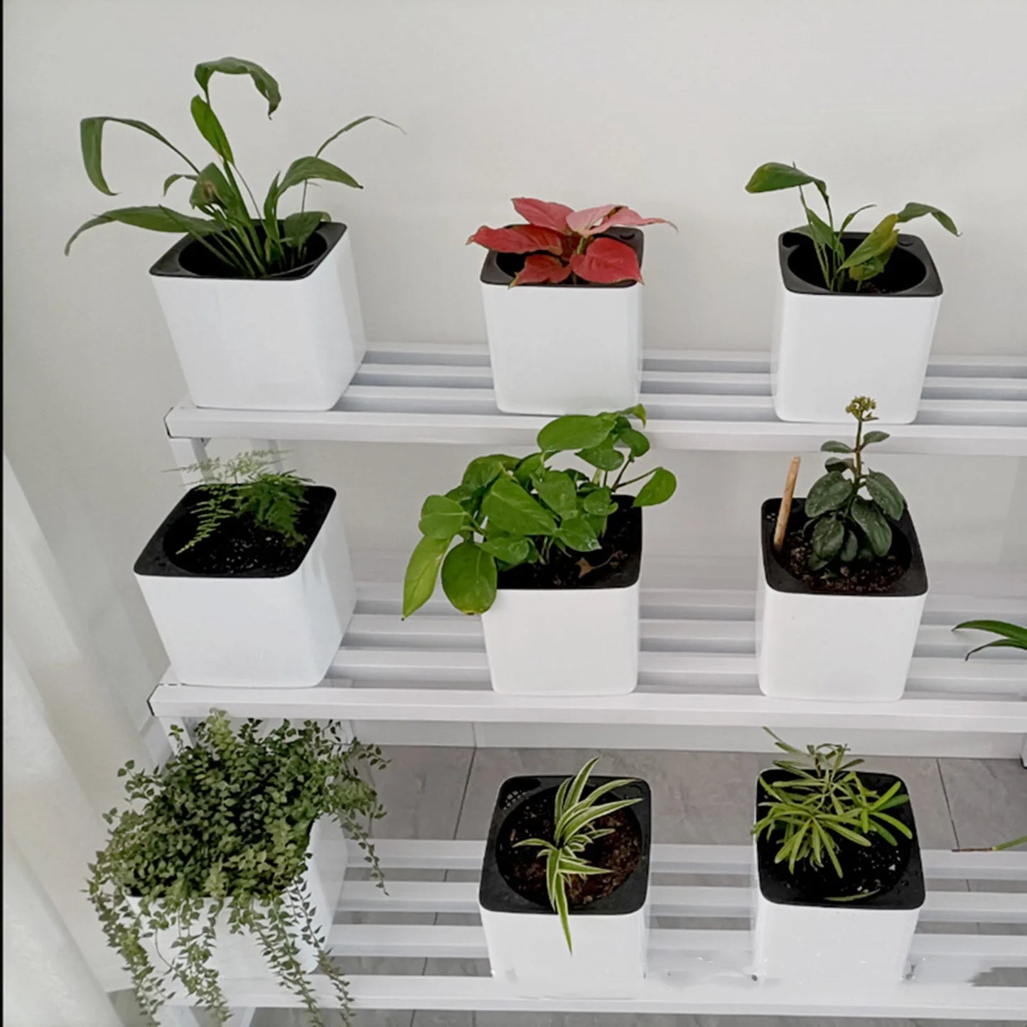 Self-Watering Pot