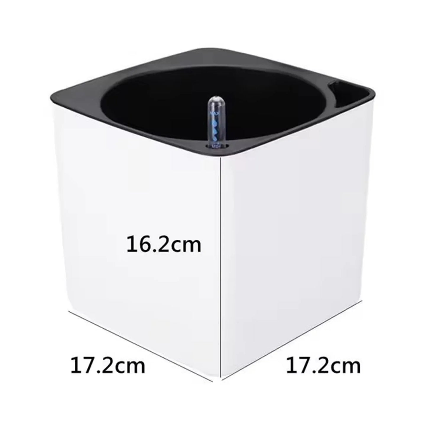 Self-Watering Pot
