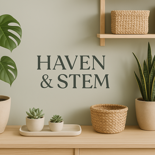 The Best and Most Popular Indoor Plants for a Beautiful, Healthy Home