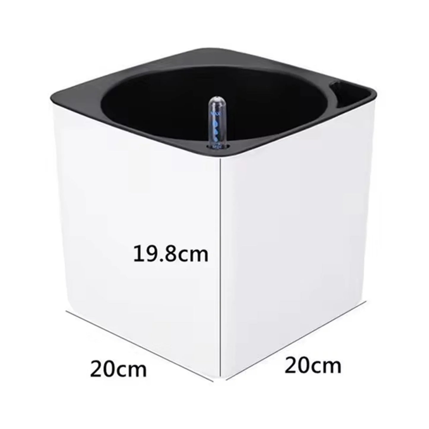 Self-Watering Pot