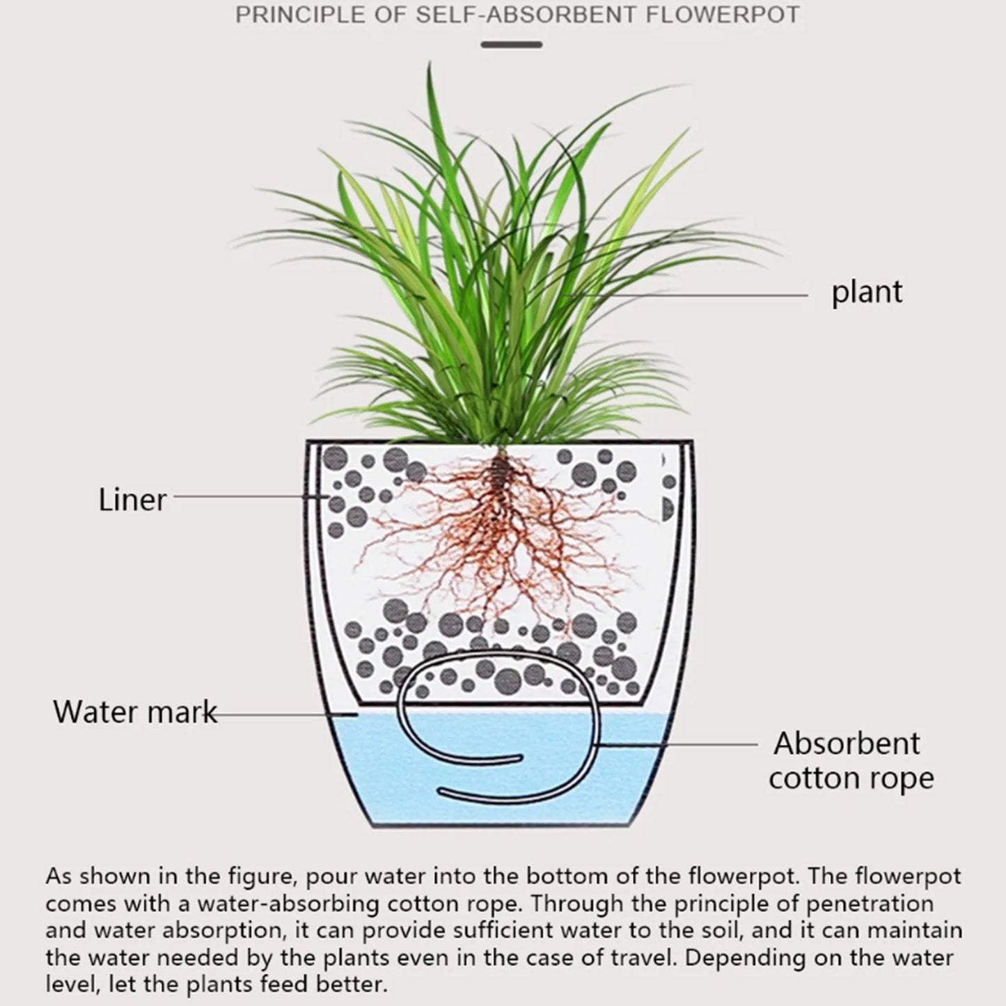 Self-Watering Pot