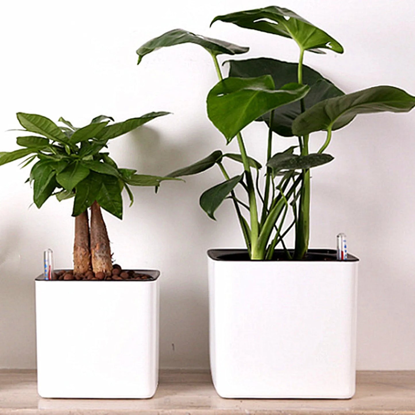Self-Watering Pot