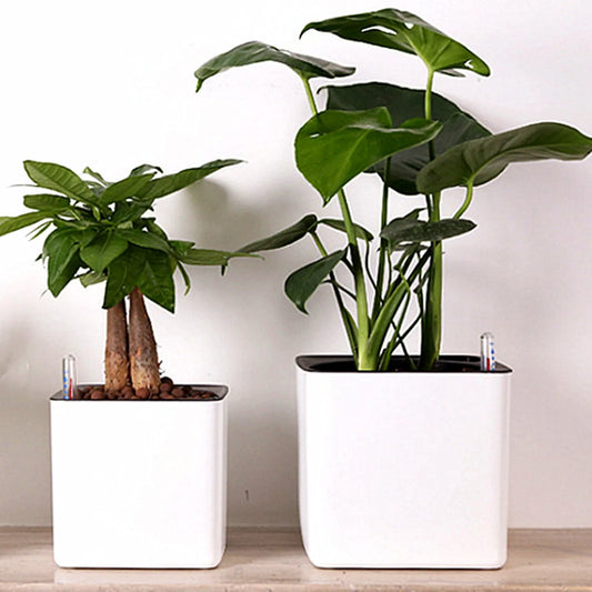 Self-Watering Pot